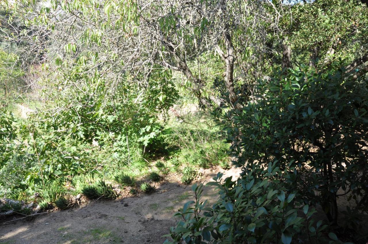 2Ba Domaine Malacucina Lumio Екстериор снимка